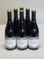 2017 Terrasses du Larzac. Chateau Capion - Languedoc - 6, Verzamelen, Wijnen, Nieuw