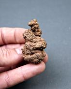 Verse dinosauruspoep - Gefossiliseerd dier - Coprolite, Verzamelen