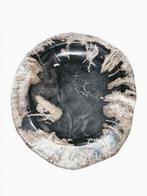 Design-unikaat uit fossiel hout – gepolijste schaal in, Verzamelen