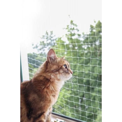 Filet pour chat transparent, 2 x 3 m - kerbl, Dieren en Toebehoren, Katten-accessoires