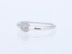 Pomellato - Bague - Mama Non Mama - 18 carats Or blanc