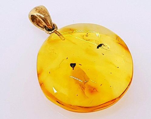 Zeldzame natuurlijke Baltische barnsteen hanger met fossiele, Verzamelen, Mineralen en Fossielen