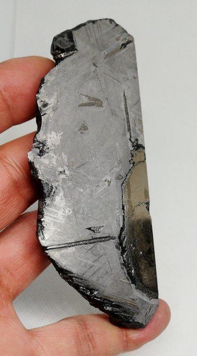 Sint-Aubin meteoroïet, Ligne de Widmanstätten. insluits, Verzamelen, Mineralen en Fossielen