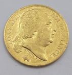 Frankrijk. Louis XVIII (1814-1824). 20 Francs 1819 - W