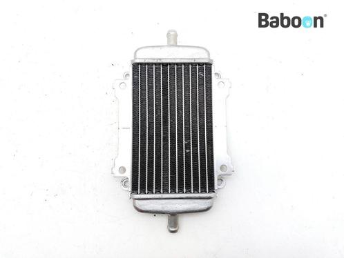 Radiateur Piaggio | Vespa GTS 300 HPE 2018-2020, Motoren, Onderdelen | Overige, Gebruikt, Verzenden