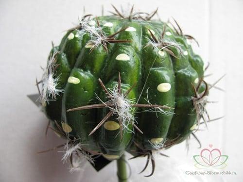 Cactus Small Ball Groen Latex Zijde per stuk, Huis en Inrichting, Woonaccessoires | Kunstplanten en Kunstbloemen, Nieuw