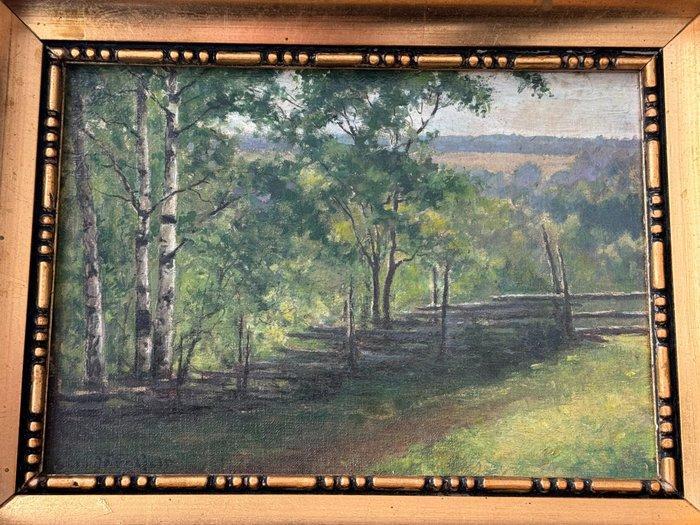 Eero Järnefelt (1863-1937) - Forest, Antiek en Kunst, Kunst | Schilderijen | Klassiek
