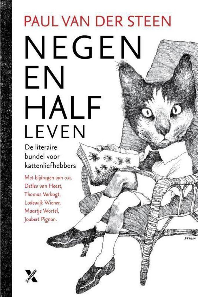 Negenenhalf leven 9789401603737 Paul van der Steen, Boeken, Romans, Zo goed als nieuw, Verzenden