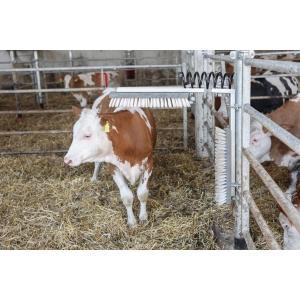 Brosse à vache texas, Articles professionnels, Agriculture | Aliments pour bétail