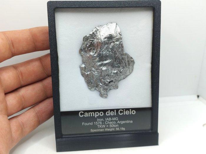 Prachtige meteoriet in een elegante doos Campo Del Cielo uit, Verzamelen, Mineralen en Fossielen
