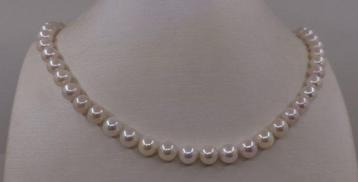 Collier Perles Akoya brillantes 7x7,5 mm
