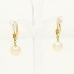 Zonder Minimumprijs - Oorbellen - 18 karaat Geel goud -, Handtassen en Accessoires, Oorbellen, Nieuw