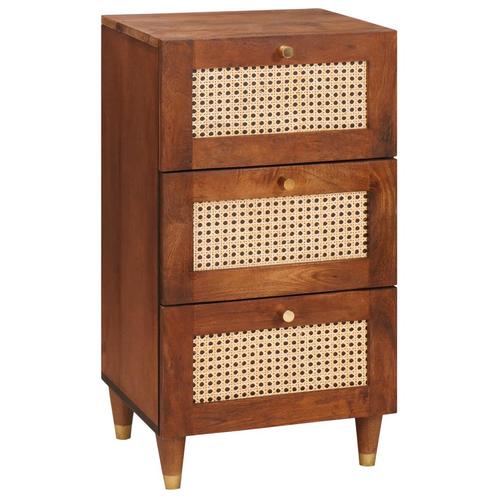 vidaXL met lade met opslag Bruin Riet en massief mango hout, Huis en Inrichting, Woonaccessoires | Cd- en Dvd-rekken, Nieuw, Verzenden