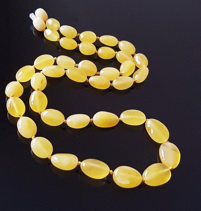 Amber Ketting - Zeldzame echte butterscotch Baltische, Collections, Minéraux & Fossiles