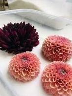 Silicagel prepareerzout voor het drogen van bloemen 3-5 mm