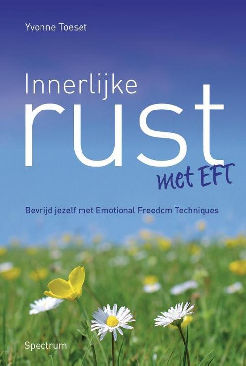 Innerlijke rust met EFT 9789049105884 Yvonne Toeset, Boeken, Psychologie, Zo goed als nieuw, Verzenden