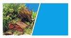 Achterwand poster planten/blauw (Achterwandposters), Ophalen of Verzenden, Nieuw, Sierelement