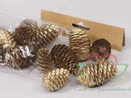 Dennenappel Ray Cones Goud 100 gram kleinverpakking, Hobby en Vrije tijd, Knutselen, Nieuw