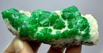 Top groene smaragdgroene kristallen Exemplaar - Hoogte: 89