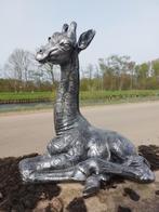 Beeld, lying lifelike baby giraffe - 57 cm - polyresin, Antiek en Kunst