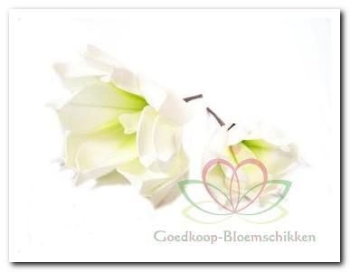 Magnolia foambloem Kort Soft Green DOOS 12 stuks Magnolia, Huis en Inrichting, Woonaccessoires | Kunstplanten en Kunstbloemen