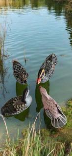 Lokeend - Duck decoy handmade vintage (4) - Hout