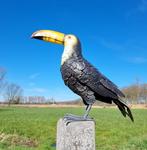Beeldje - lifelike toucan - IJzer, Metaal