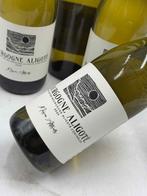 2023 Maison Altisolis Bourgogne aligoté - Bourgogne - 6