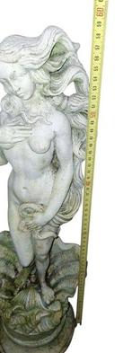 Beeld, Venere di Botticelli - 60 cm - Gips - 1980, Antiek en Kunst, Curiosa en Brocante