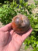 Versteend hout Bol - Hoogte: 7.9 cm- 670 g - (1), Verzamelen