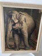 G.J. Staller (1880-1956) - Elephant in Zoo