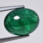 Groen Smaragd - 4.55 ct - International Gemological, Nieuw