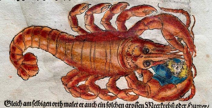 Conrad Gesner - Fischbuch - 1598, Antiquités & Art, Antiquités | Livres & Manuscrits