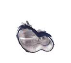 Phare Droit Pour Mercedes Classe C W203 Oem, Verzenden