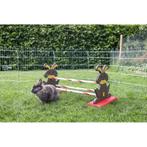 Obstacle pour rongeur agility 62 x 33 x 34 cm - kerbl