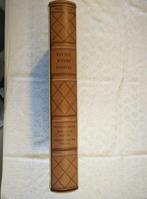 Pietro Annigoni / Erasmo da Rotterdam - Elogio della follia