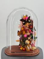 Mélange de papillons Support de corps entier pour taxidermie, Collections