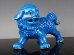 Foo-honden - Porselein - China (Zonder minimumprijs), Antiek en Kunst