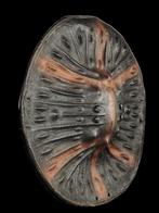 Schild. - Sidamo/Arussi. - Ethiopië