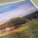 Viet Ha Tran - Sunset by the lake - XL