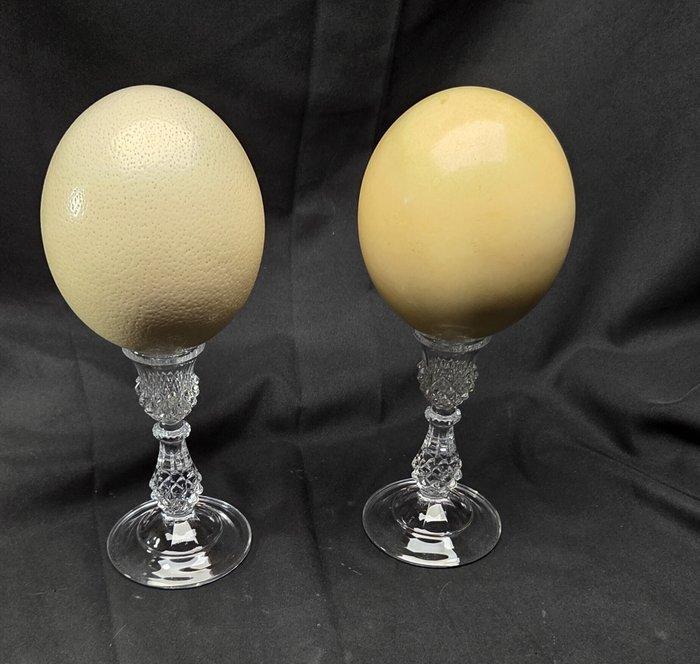 2 ostrich eggs on beautifull crystal darques stand - French, Antiek en Kunst, Curiosa en Brocante