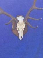 Edelhert Taxidermie wandmontage - Cervus elaphus - très, Nieuw