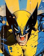 David Law - Wolverine XI