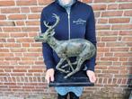 Beeld, Bronze Running Deer - 43.5 cm - Brons, Marmer