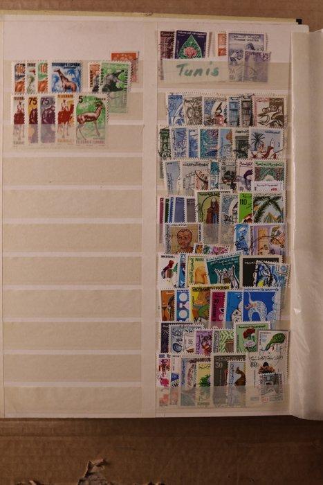 Afrikaanse landen 1870/1985 - Groot collectie in 1 Schaubek, Timbres & Monnaies, Timbres | Amérique