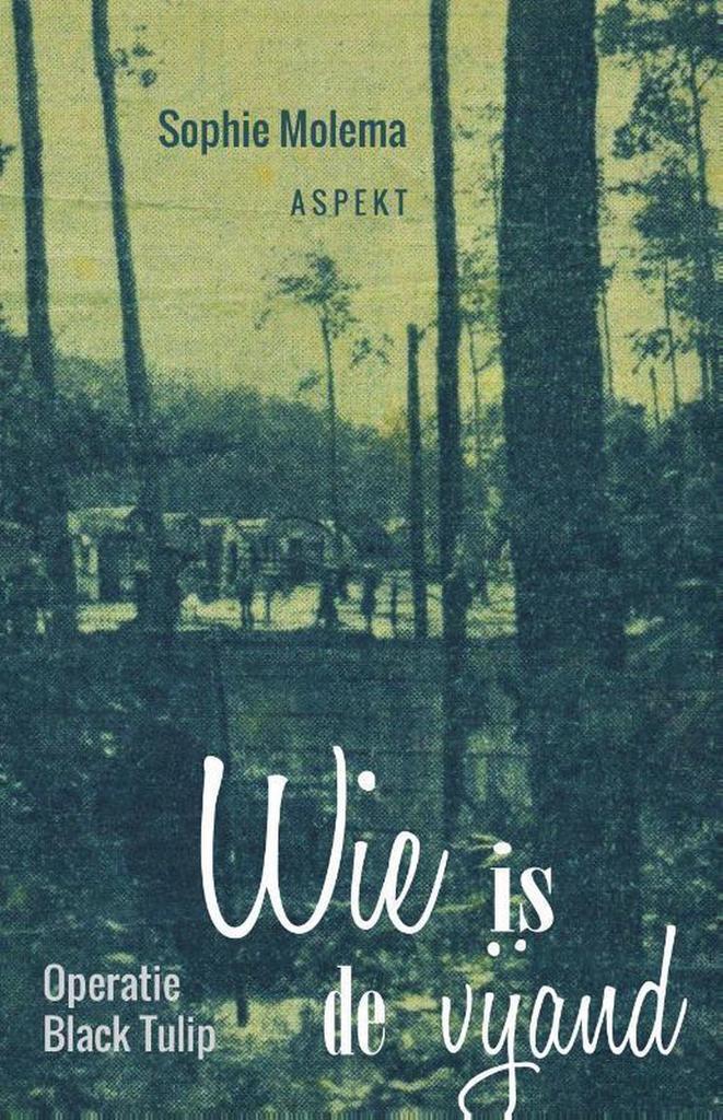 Wie is de vijand 9789463383561 Sophie Molema, Livres, Histoire mondiale, Envoi