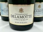 Delamotte, Champagne Delamotte Blanc de Blancs e Brut -, Collections
