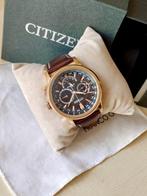 Citizen - Solar World Timer - Sans Prix de Réserve - Homme -, Handtassen en Accessoires, Horloges | Heren, Nieuw