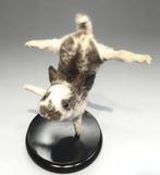 Konijn Taxidermie volledige montage - Handstand rabbit, Antiek en Kunst