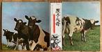 Pink Floyd - Atom Heart Mother - LP album (op zichzelf